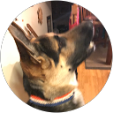 Tyner S. profile picture